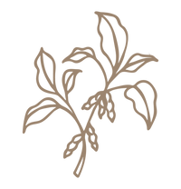 Antique Candle Co. - Wholesale