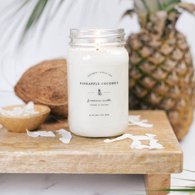Pineapple Coconut cases